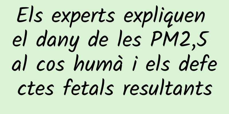 Els experts expliquen el dany de les PM2,5 al cos humà i els defectes fetals resultants