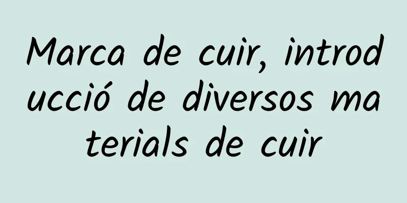 Marca de cuir, introducció de diversos materials de cuir