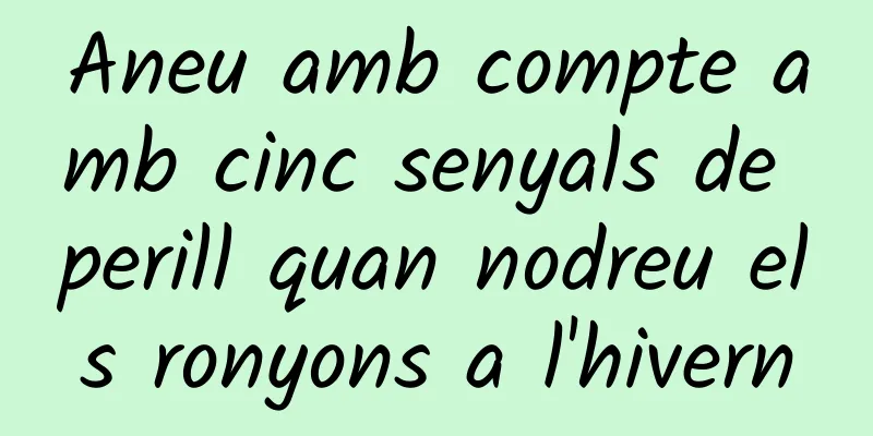 Aneu amb compte amb cinc senyals de perill quan nodreu els ronyons a l'hivern