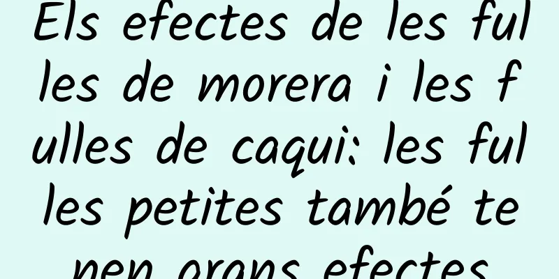 Els efectes de les fulles de morera i les fulles de caqui: les fulles petites també tenen grans efectes