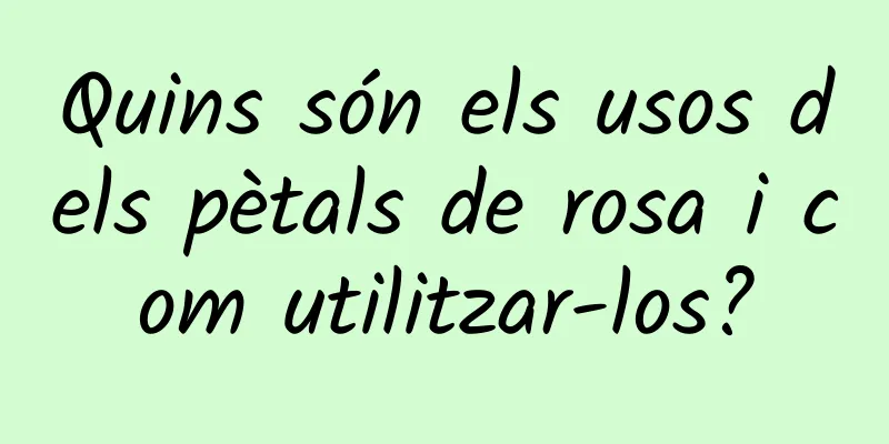 Quins són els usos dels pètals de rosa i com utilitzar-los?