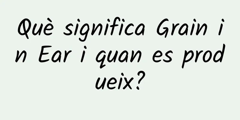 Què significa Grain in Ear i quan es produeix?