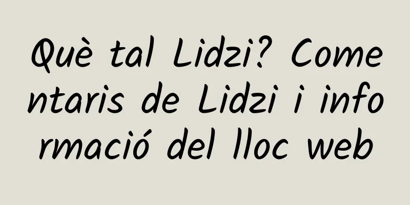 Què tal Lidzi? Comentaris de Lidzi i informació del lloc web