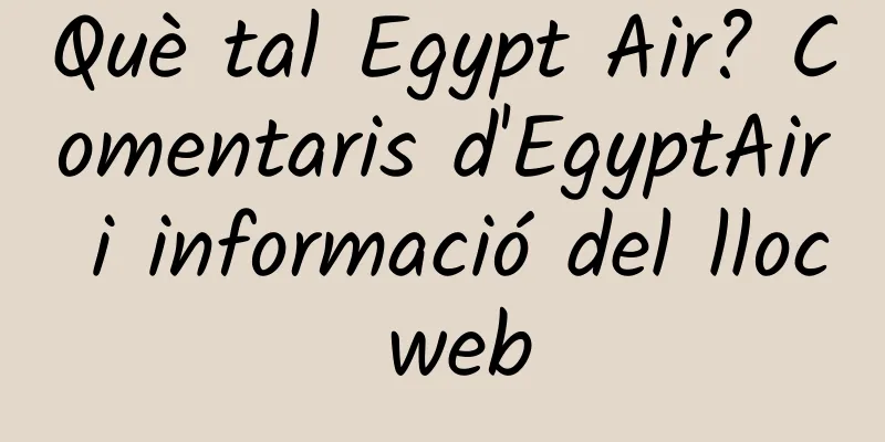Què tal Egypt Air? Comentaris d'EgyptAir i informació del lloc web