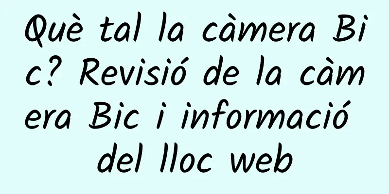 Què tal la càmera Bic? Revisió de la càmera Bic i informació del lloc web