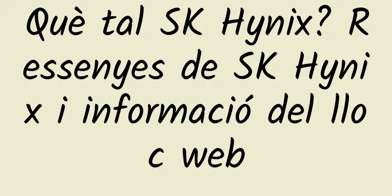 Què tal SK Hynix? Ressenyes de SK Hynix i informació del lloc web