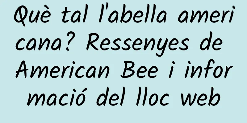 Què tal l'abella americana? Ressenyes de American Bee i informació del lloc web
