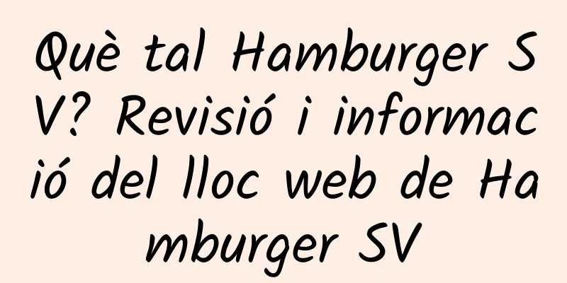 Què tal Hamburger SV? Revisió i informació del lloc web de Hamburger SV