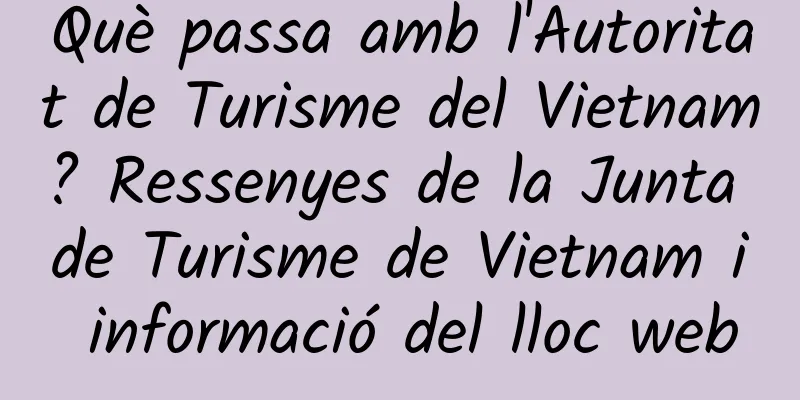Què passa amb l'Autoritat de Turisme del Vietnam? Ressenyes de la Junta de Turisme de Vietnam i informació del lloc web