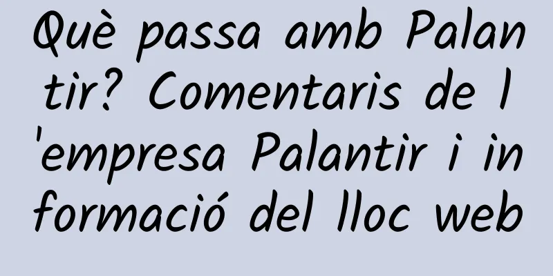 Què passa amb Palantir? Comentaris de l'empresa Palantir i informació del lloc web