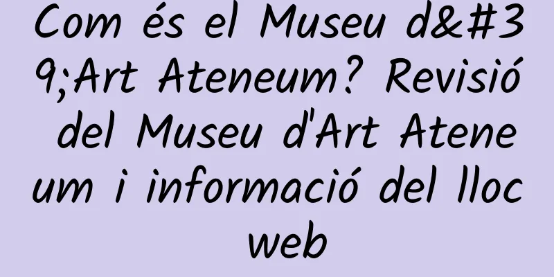 Com és el Museu d'Art Ateneum? Revisió del Museu d'Art Ateneum i informació del lloc web