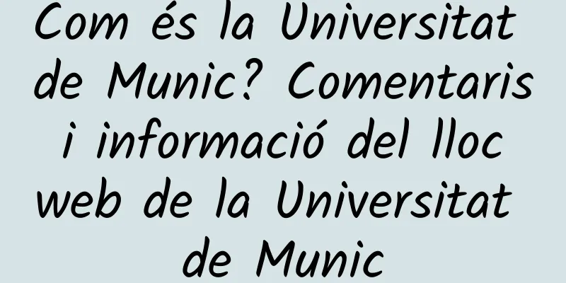 Com és la Universitat de Munic? Comentaris i informació del lloc web de la Universitat de Munic