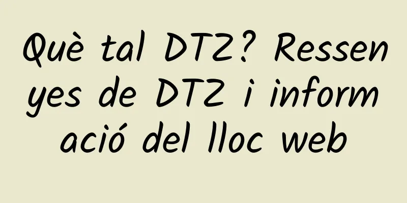 Què tal DTZ? Ressenyes de DTZ i informació del lloc web