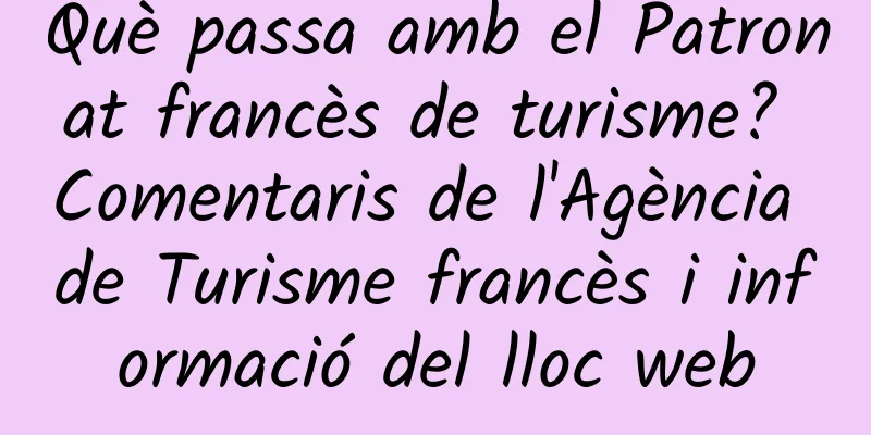 Què passa amb el Patronat francès de turisme? Comentaris de l'Agència de Turisme francès i informació del lloc web