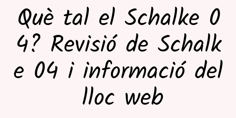 Què tal el Schalke 04? Revisió de Schalke 04 i informació del lloc web