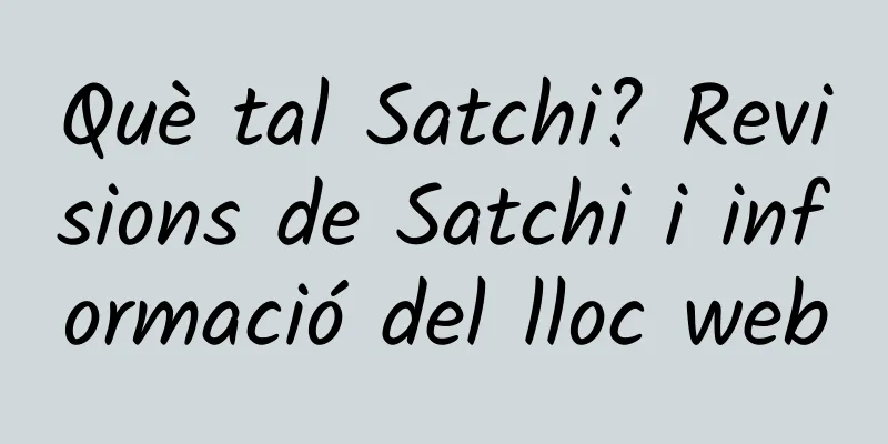 Què tal Satchi? Revisions de Satchi i informació del lloc web