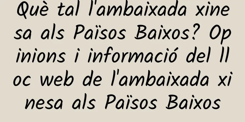 Què tal l'ambaixada xinesa als Països Baixos? Opinions i informació del lloc web de l'ambaixada xinesa als Països Baixos