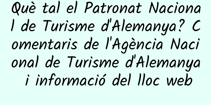 Què tal el Patronat Nacional de Turisme d'Alemanya? Comentaris de l'Agència Nacional de Turisme d'Alemanya i informació del lloc web