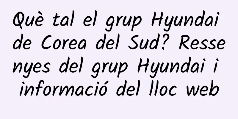 Què tal el grup Hyundai de Corea del Sud? Ressenyes del grup Hyundai i informació del lloc web