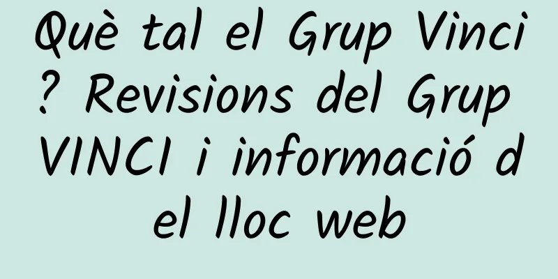 Què tal el Grup Vinci? Revisions del Grup VINCI i informació del lloc web