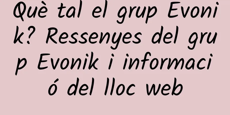 Què tal el grup Evonik? Ressenyes del grup Evonik i informació del lloc web
