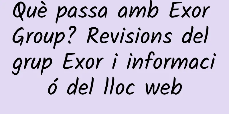 Què passa amb Exor Group? Revisions del grup Exor i informació del lloc web