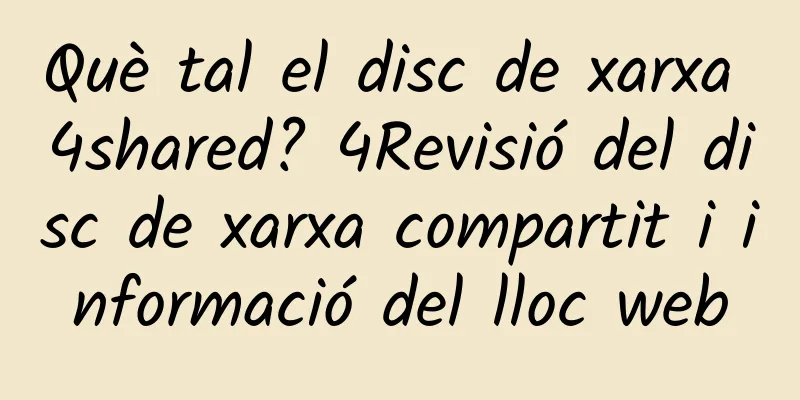 Què tal el disc de xarxa 4shared? 4Revisió del disc de xarxa compartit i informació del lloc web