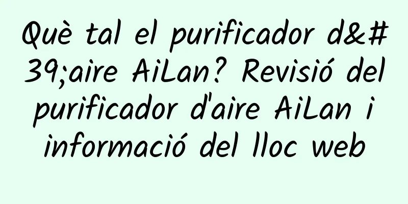 Què tal el purificador d'aire AiLan? Revisió del purificador d'aire AiLan i informació del lloc web