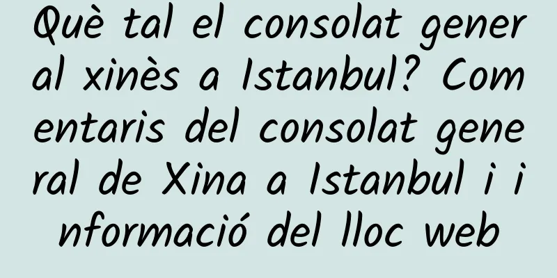 Què tal el consolat general xinès a Istanbul? Comentaris del consolat general de Xina a Istanbul i informació del lloc web