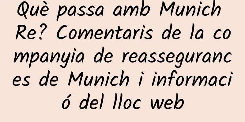 Què passa amb Munich Re? Comentaris de la companyia de reassegurances de Munich i informació del lloc web