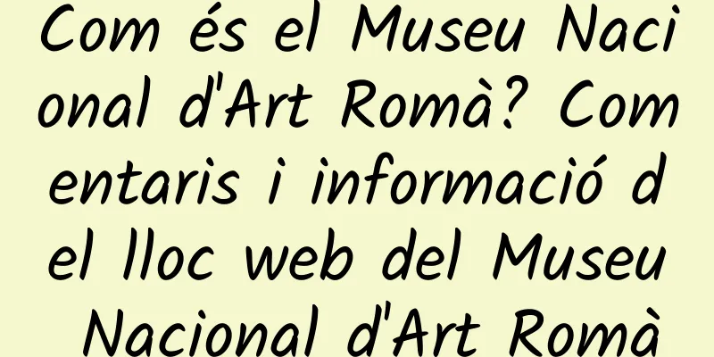 Com és el Museu Nacional d'Art Romà? Comentaris i informació del lloc web del Museu Nacional d'Art Romà