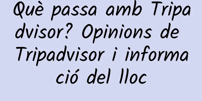 Què passa amb Tripadvisor? Opinions de Tripadvisor i informació del lloc