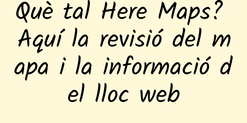 Què tal Here Maps? Aquí la revisió del mapa i la informació del lloc web