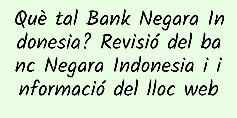 Què tal Bank Negara Indonesia? Revisió del banc Negara Indonesia i informació del lloc web