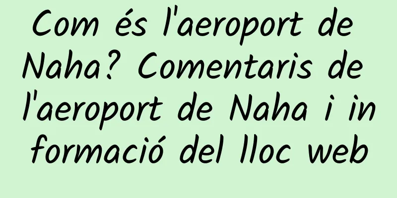 Com és l'aeroport de Naha? Comentaris de l'aeroport de Naha i informació del lloc web