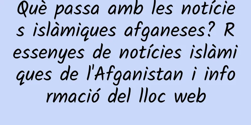 Què passa amb les notícies islàmiques afganeses? Ressenyes de notícies islàmiques de l'Afganistan i informació del lloc web
