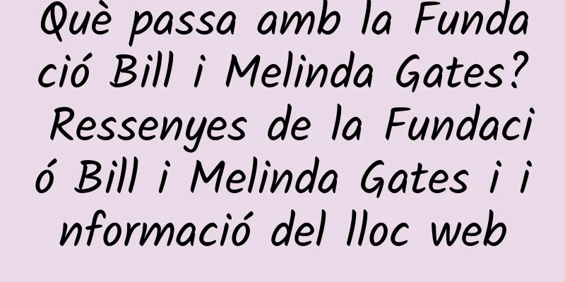 Què passa amb la Fundació Bill i Melinda Gates? Ressenyes de la Fundació Bill i Melinda Gates i informació del lloc web