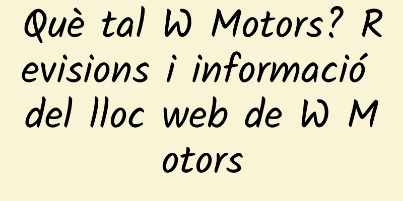Què tal W Motors? Revisions i informació del lloc web de W Motors