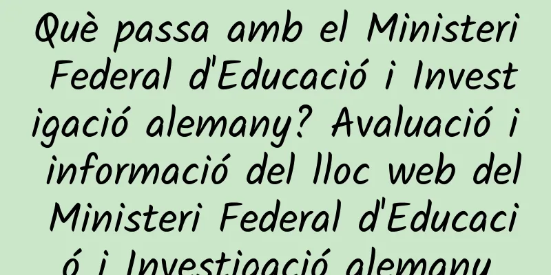 Què passa amb el Ministeri Federal d'Educació i Investigació alemany? Avaluació i informació del lloc web del Ministeri Federal d'Educació i Investigació alemany