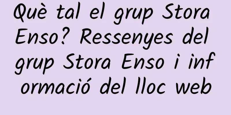Què tal el grup Stora Enso? Ressenyes del grup Stora Enso i informació del lloc web