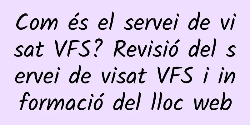 Com és el servei de visat VFS? Revisió del servei de visat VFS i informació del lloc web