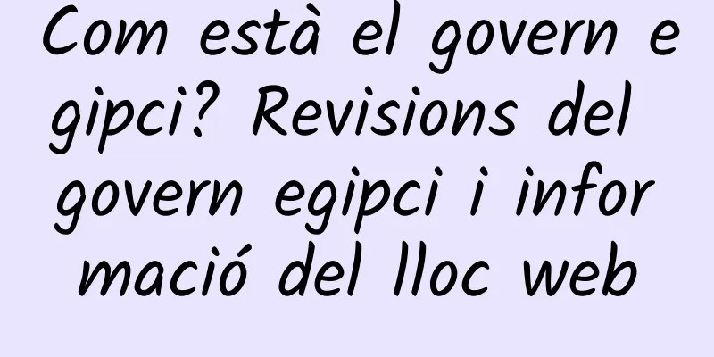 Com està el govern egipci? Revisions del govern egipci i informació del lloc web