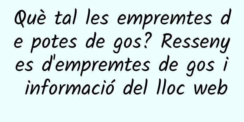 Què tal les empremtes de potes de gos? Ressenyes d'empremtes de gos i informació del lloc web