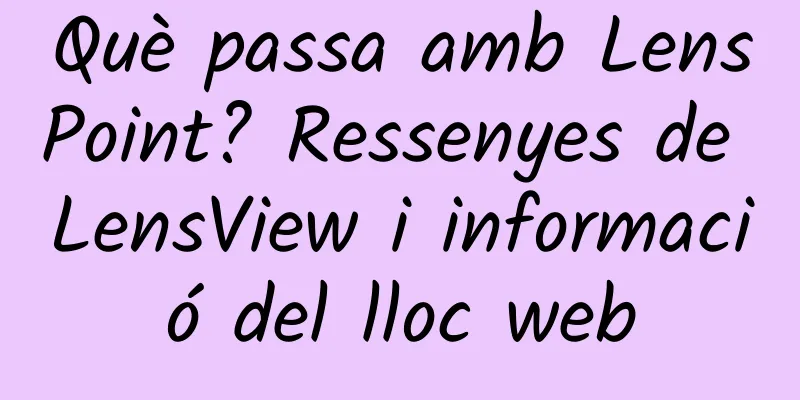 Què passa amb LensPoint? Ressenyes de LensView i informació del lloc web