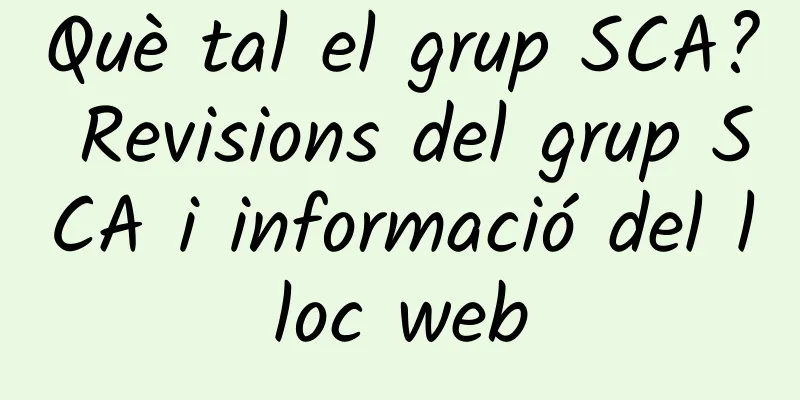 Què tal el grup SCA? Revisions del grup SCA i informació del lloc web