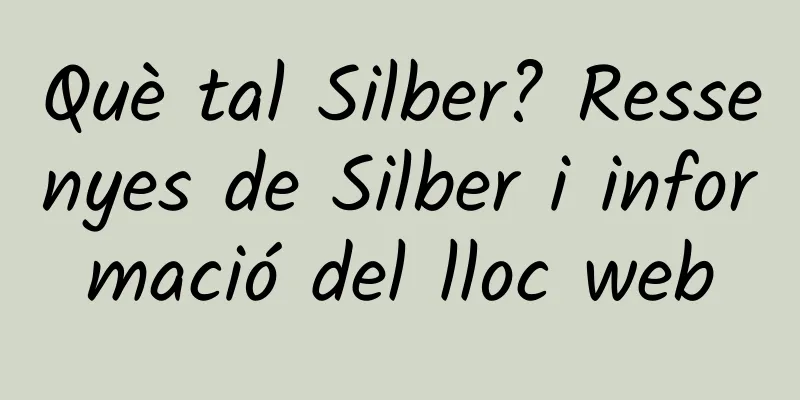 Què tal Silber? Ressenyes de Silber i informació del lloc web