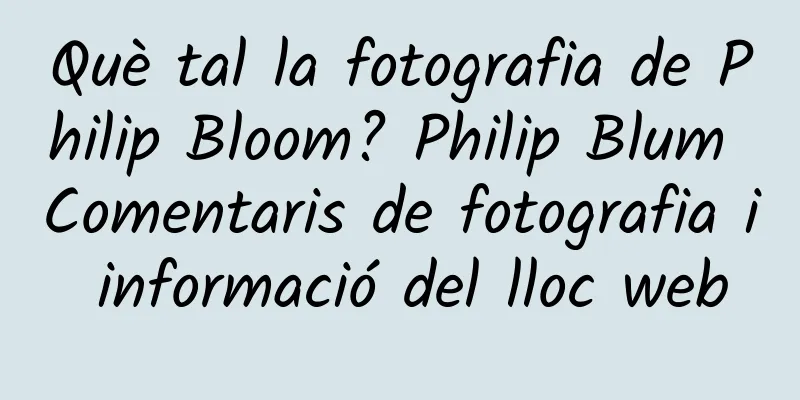 Què tal la fotografia de Philip Bloom? Philip Blum Comentaris de fotografia i informació del lloc web
