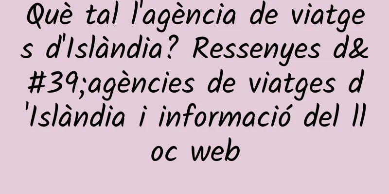 Què tal l'agència de viatges d'Islàndia? Ressenyes d'agències de viatges d'Islàndia i informació del lloc web