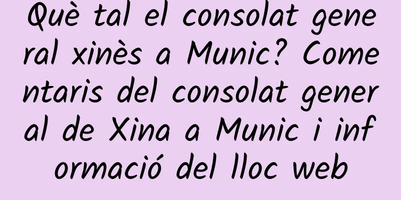Què tal el consolat general xinès a Munic? Comentaris del consolat general de Xina a Munic i informació del lloc web