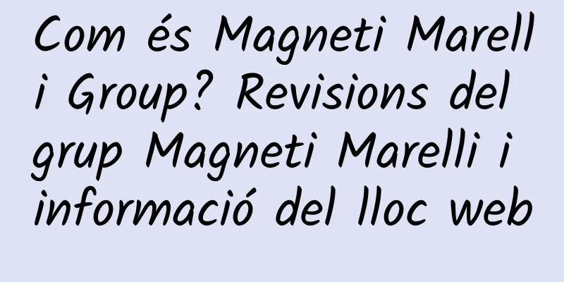 Com és Magneti Marelli Group? Revisions del grup Magneti Marelli i informació del lloc web